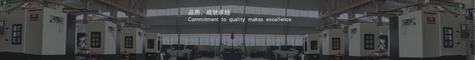 牽引式TMR飼料攪拌機(jī)